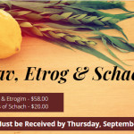 Lulav & Etrog Orders Due