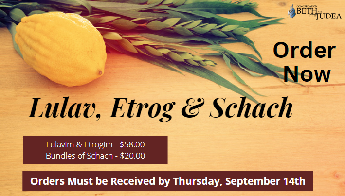 Lulav & Etrog Orders Due